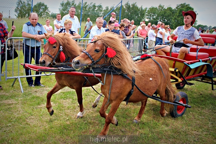IX Parada Konna w Żarówce