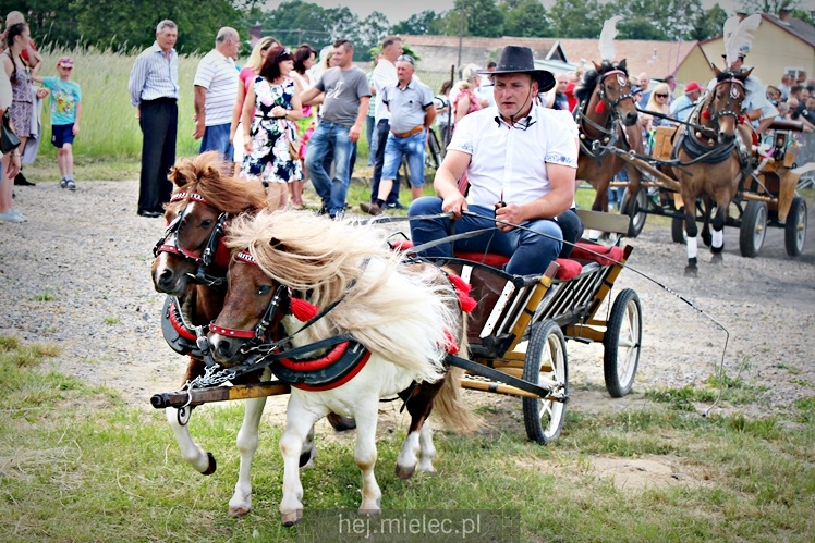 IX Parada Konna w Żarówce
