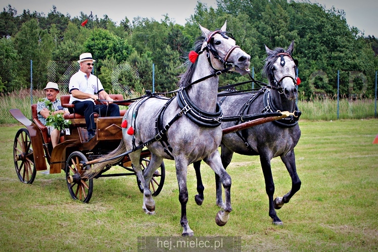 IX Parada Konna w Żarówce