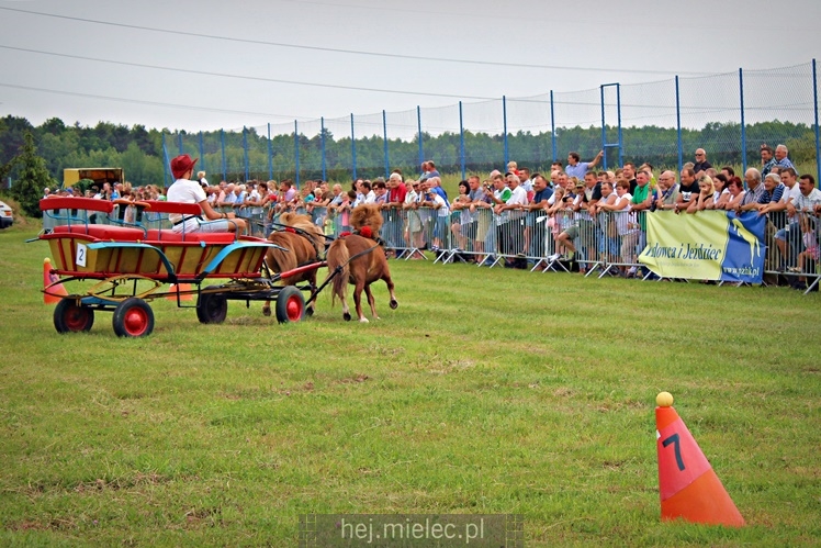 IX Parada Konna w Żarówce