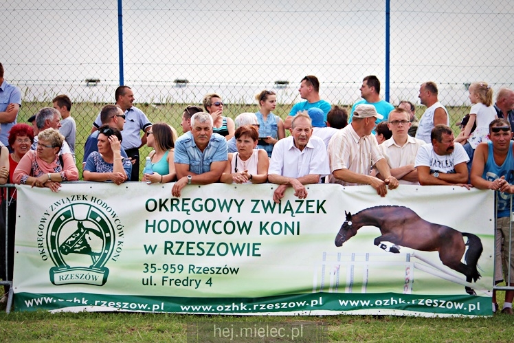 IX Parada Konna w Żarówce