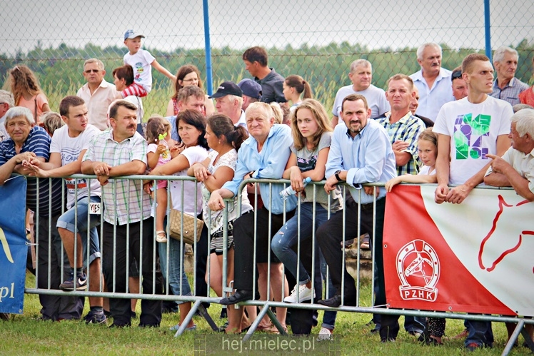 IX Parada Konna w Żarówce