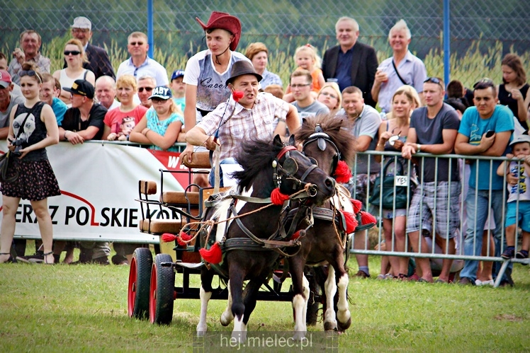 IX Parada Konna w Żarówce