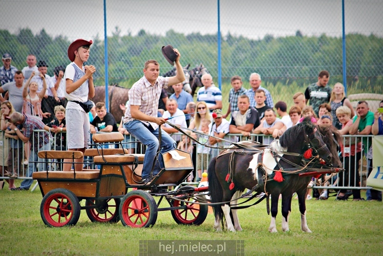 IX Parada Konna w Żarówce