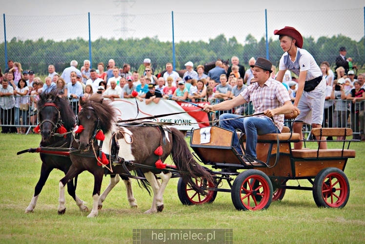 IX Parada Konna w Żarówce