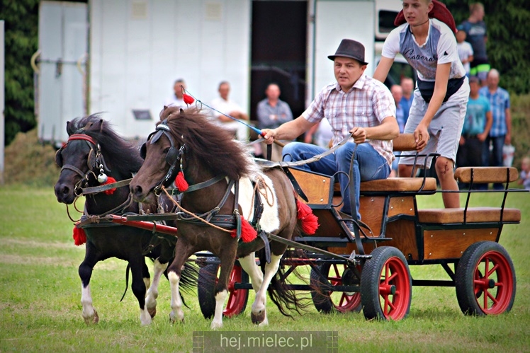 IX Parada Konna w Żarówce