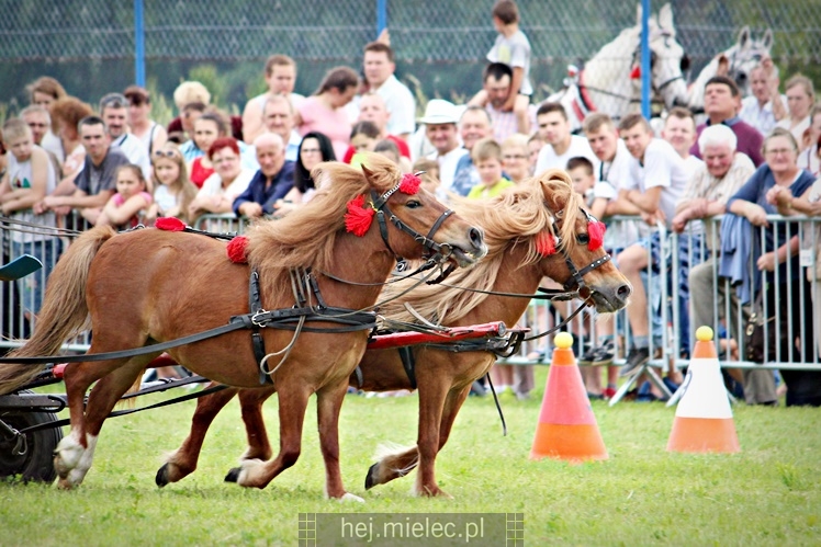 IX Parada Konna w Żarówce