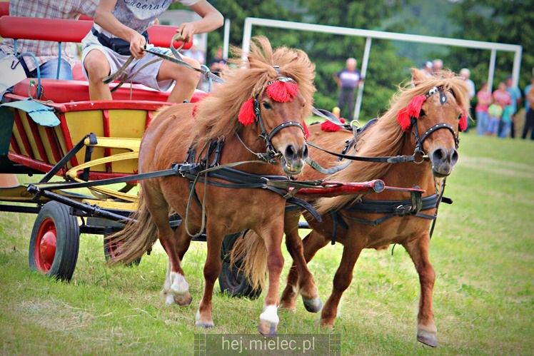 IX Parada Konna w Żarówce