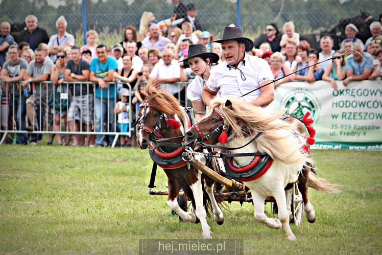 IX Parada Konna w Żarówce