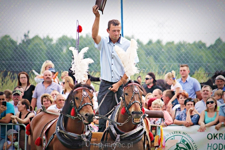 IX Parada Konna w Żarówce
