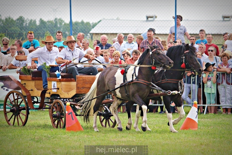 IX Parada Konna w Żarówce