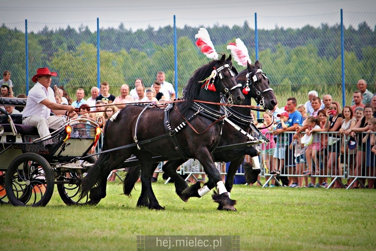 IX Parada Konna w Żarówce