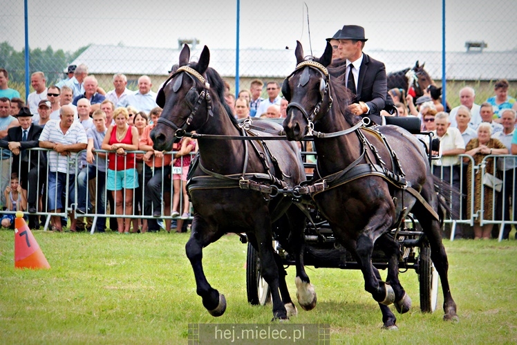 IX Parada Konna w Żarówce