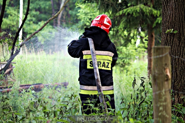 Pożar pustostanu przy ul. Majowej