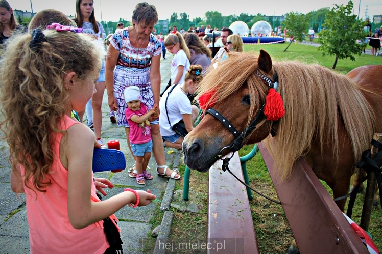 Piknik parafialny RODZINNIE U DUCHA