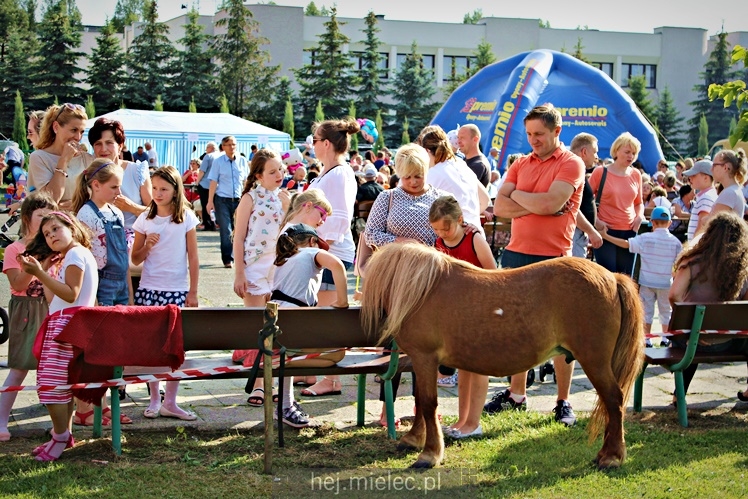 Piknik parafialny RODZINNIE U DUCHA