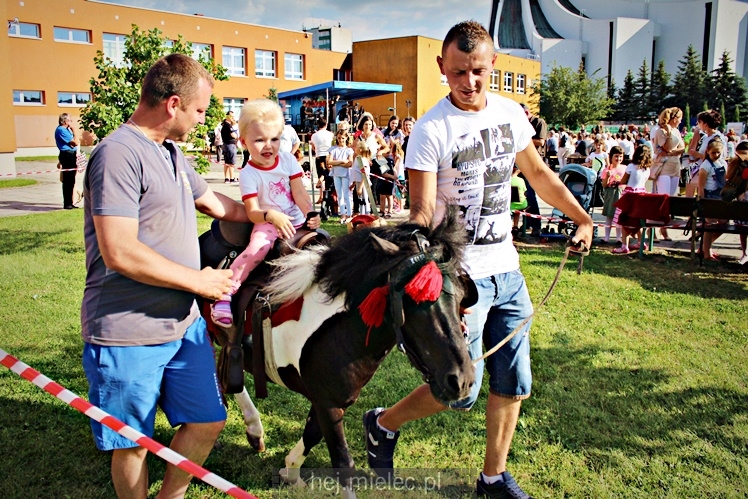 Piknik parafialny RODZINNIE U DUCHA