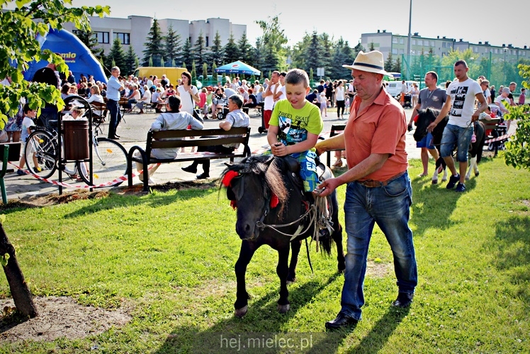 Piknik parafialny RODZINNIE U DUCHA