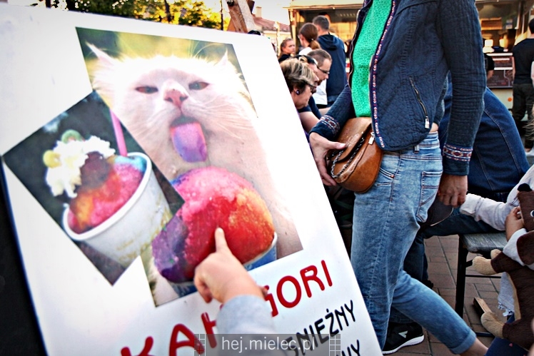 Pierwszy Zlot Food Trucków w Mielcu
