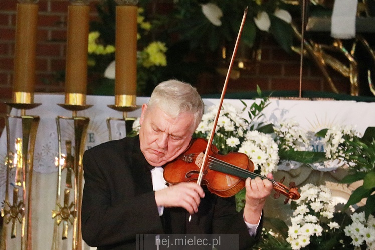 Artem cameralem promovere