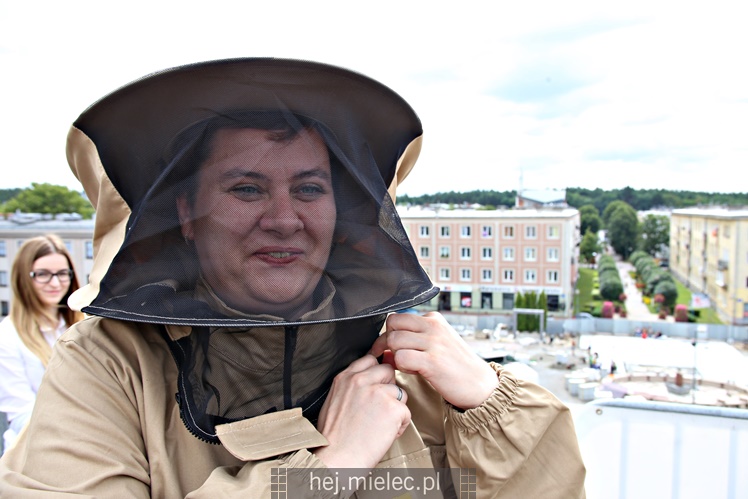 Miejskie miodobranie na dachu Domu Kultury SCK