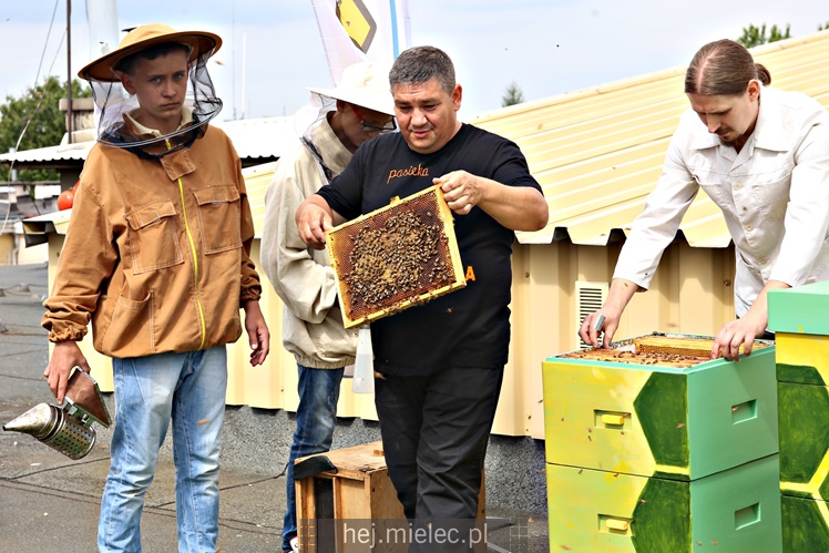 Miejskie miodobranie na dachu Domu Kultury SCK