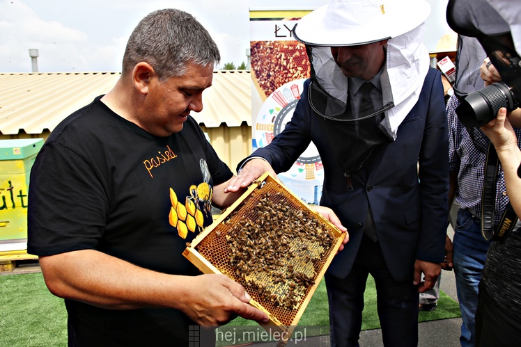 Miejskie miodobranie na dachu Domu Kultury SCK