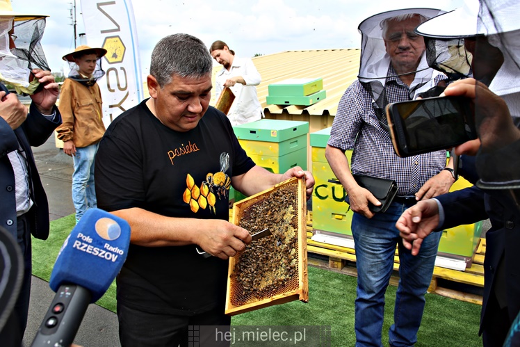 Miejskie miodobranie na dachu Domu Kultury SCK