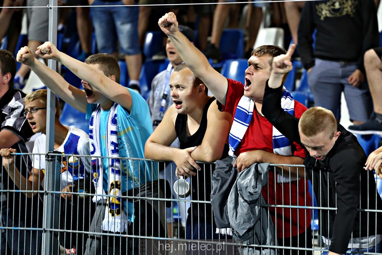 Nice 1 liga:  FKS STAL MIELEC - RUCH CHORZÓW