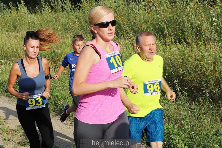 Bieg Hetmana