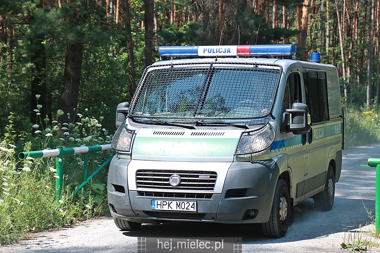Poszukiwania zaginionej mielczanki