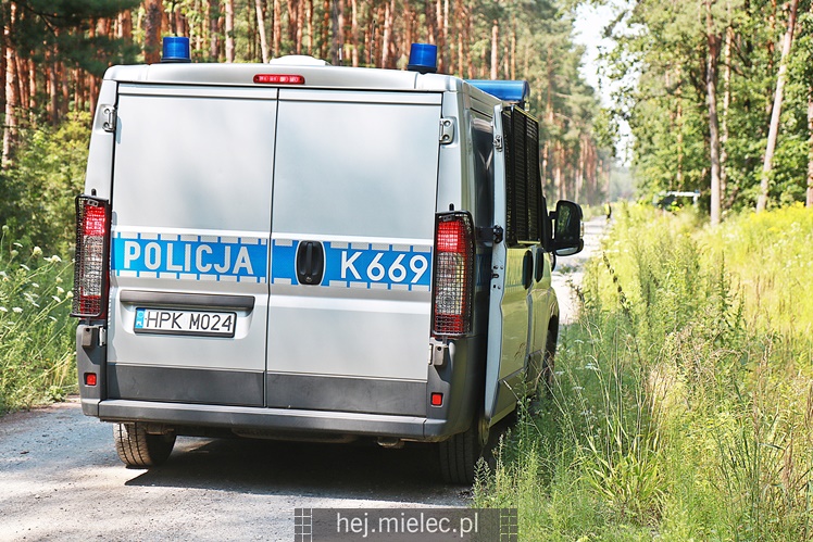 Poszukiwania zaginionej mielczanki