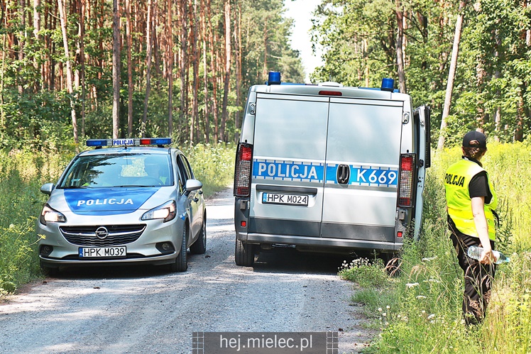 Poszukiwania zaginionej mielczanki