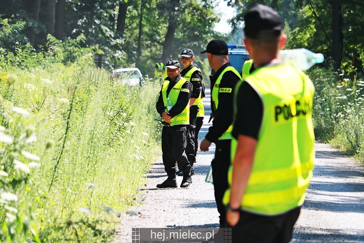 Poszukiwania zaginionej mielczanki