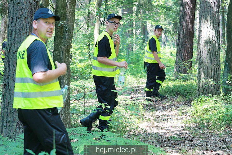 Poszukiwania zaginionej mielczanki