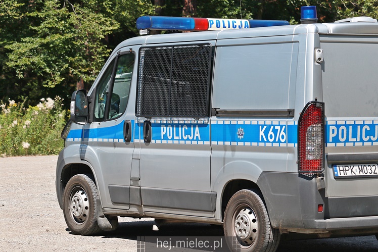 Poszukiwania zaginionej mielczanki