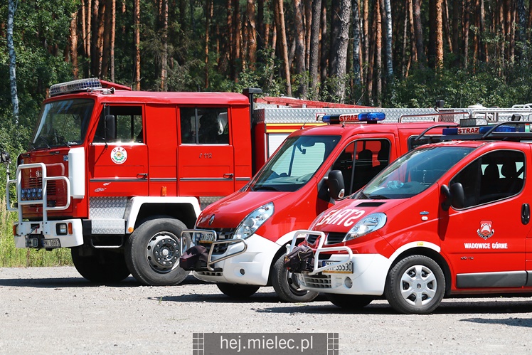 Poszukiwania zaginionej mielczanki