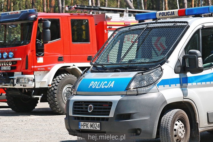 Poszukiwania zaginionej mielczanki