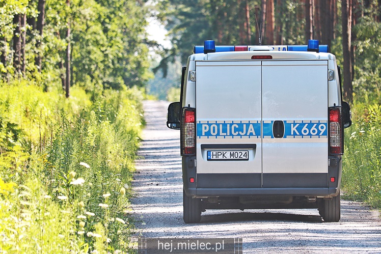 Poszukiwania zaginionej mielczanki