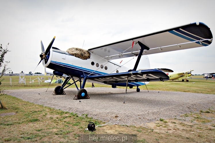XIX Europejskie Spotkanie AN-2 Mielec 2017 - piknik na lotnisku