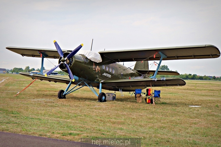 XIX Europejskie Spotkanie AN-2 Mielec 2017 - piknik na lotnisku