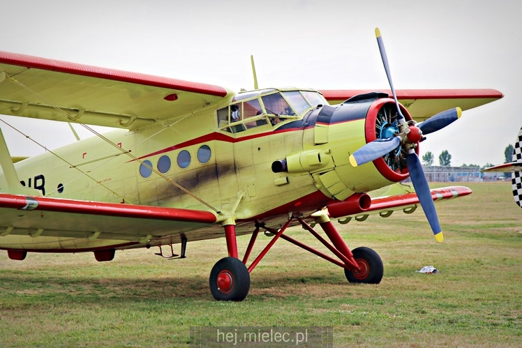 XIX Europejskie Spotkanie AN-2 Mielec 2017 - piknik na lotnisku