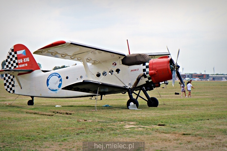 XIX Europejskie Spotkanie AN-2 Mielec 2017 - piknik na lotnisku