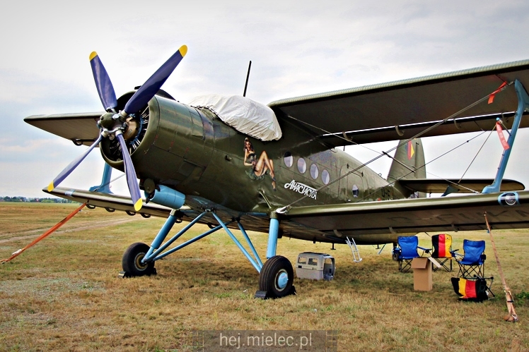 XIX Europejskie Spotkanie AN-2 Mielec 2017 - piknik na lotnisku