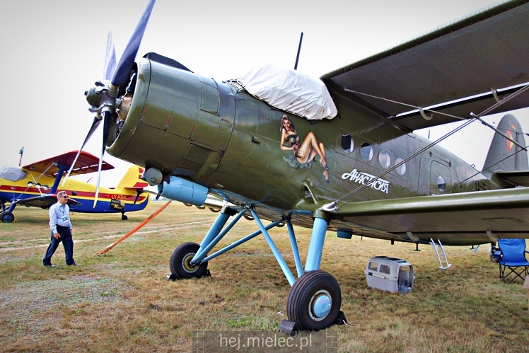 XIX Europejskie Spotkanie AN-2 Mielec 2017 - piknik na lotnisku