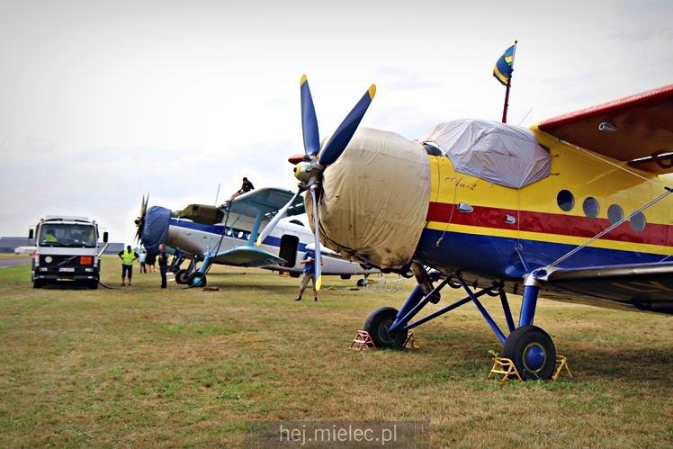 XIX Europejskie Spotkanie AN-2 Mielec 2017 - piknik na lotnisku