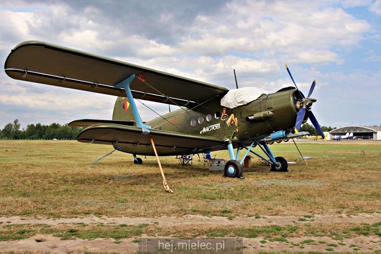 XIX Europejskie Spotkanie AN-2 Mielec 2017 - piknik na lotnisku