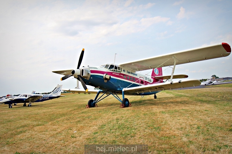 XIX Europejskie Spotkanie AN-2 Mielec 2017 - piknik na lotnisku