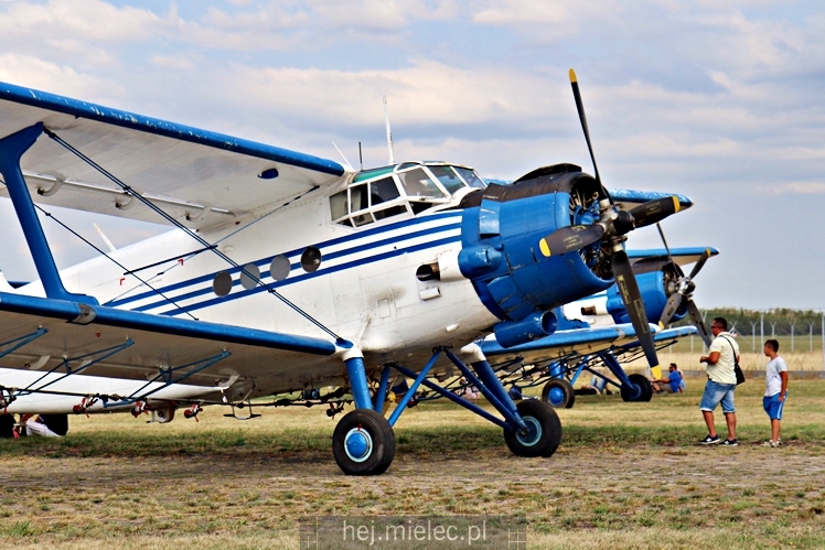 XIX Europejskie Spotkanie AN-2 Mielec 2017 - piknik na lotnisku