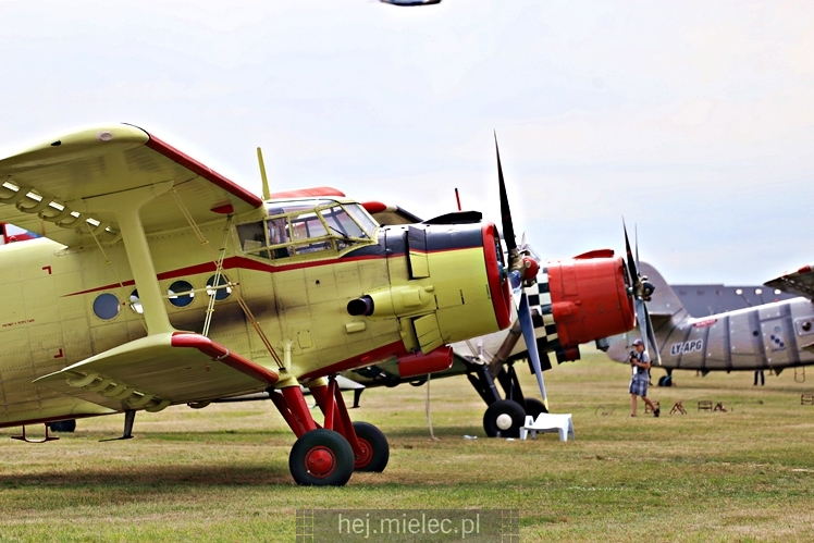 XIX Europejskie Spotkanie AN-2 Mielec 2017 - piknik na lotnisku